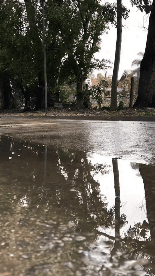 Protecții impermeabile pentru încălțăminte